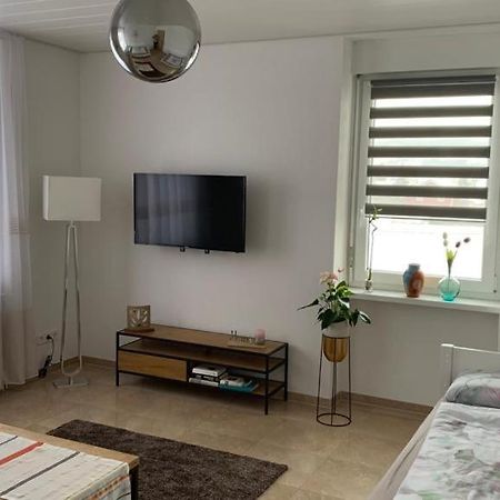 Grenznahe Ferienwohnung Mit 4 Schlafzimmern Гренцах-Вюлен Екстериор снимка